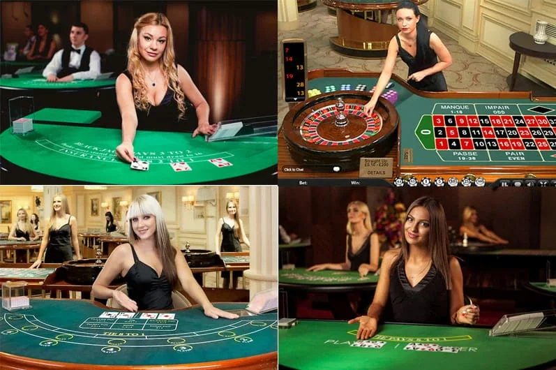 Suasana permainan meja live untuk akses mobile POHON4D